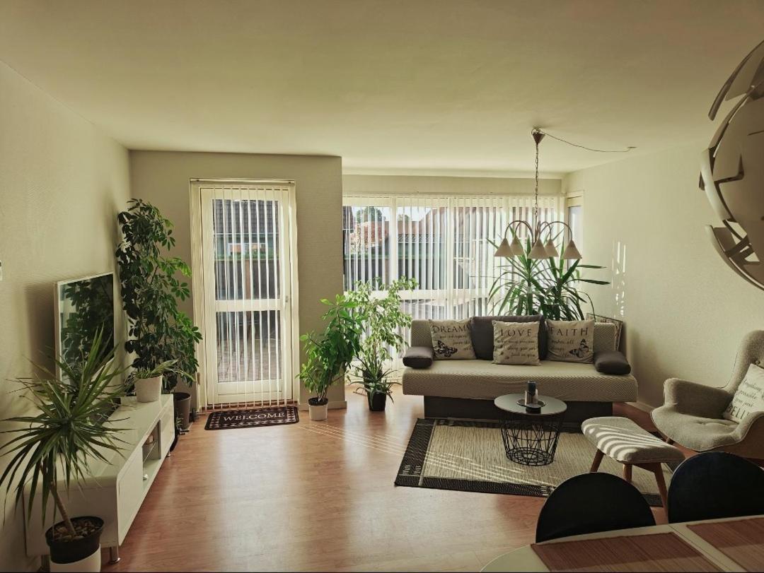 Charming In A Cozy In Apartment *