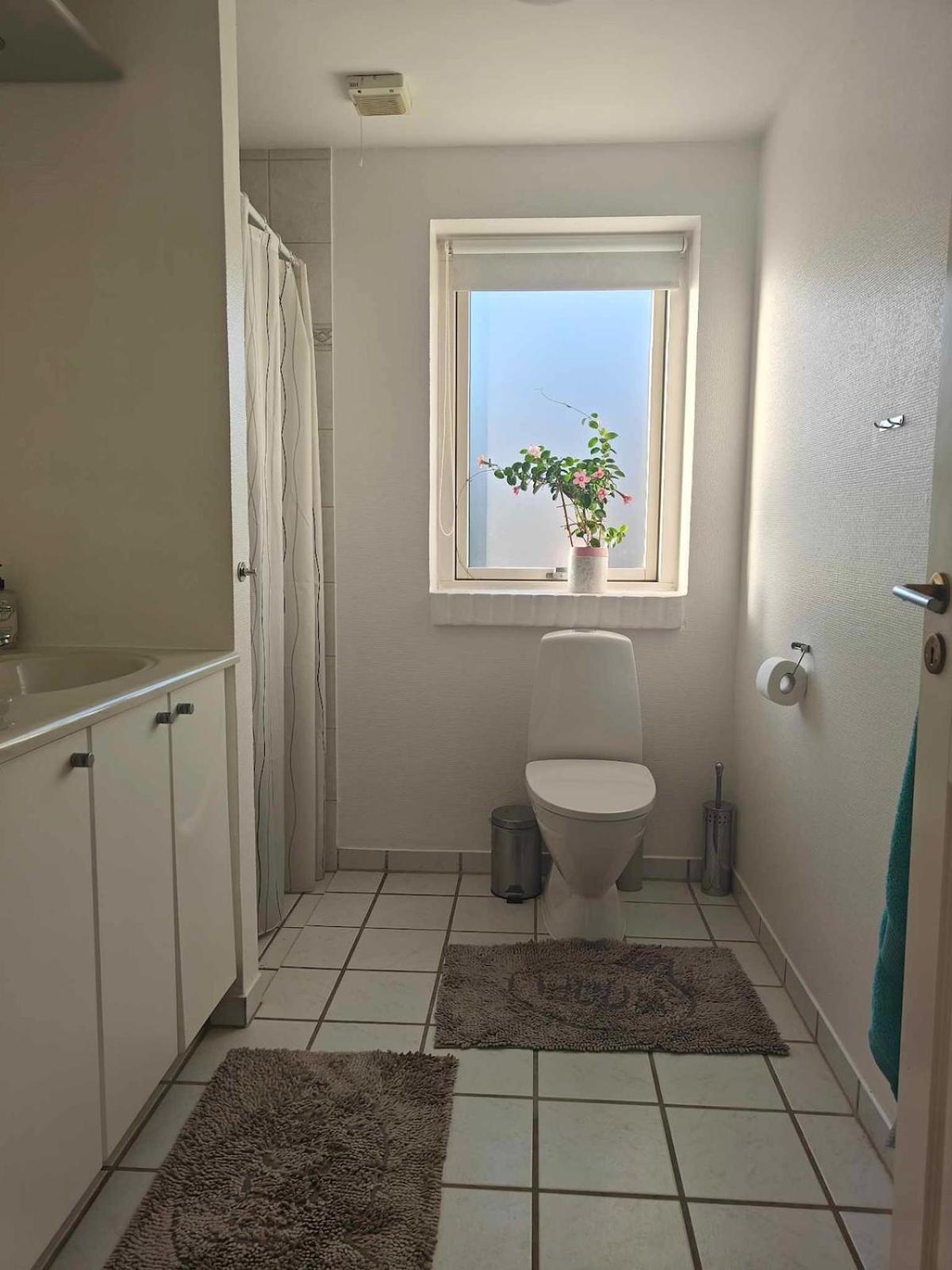 Apartment Charming In A Cozy In Stege